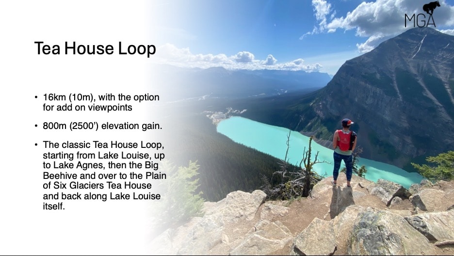 Tea House Loop